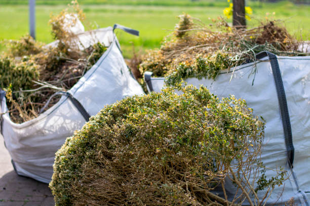 Best Carpet Removal and Disposal  in Virginia, IL